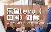 组织结构