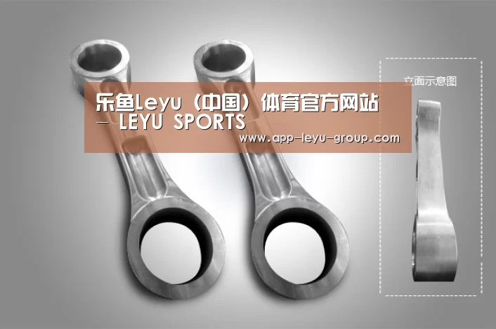 产品展示标题五