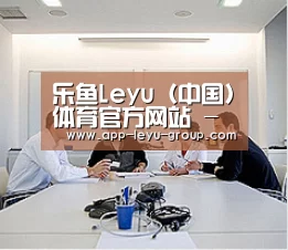 研发能力标题二