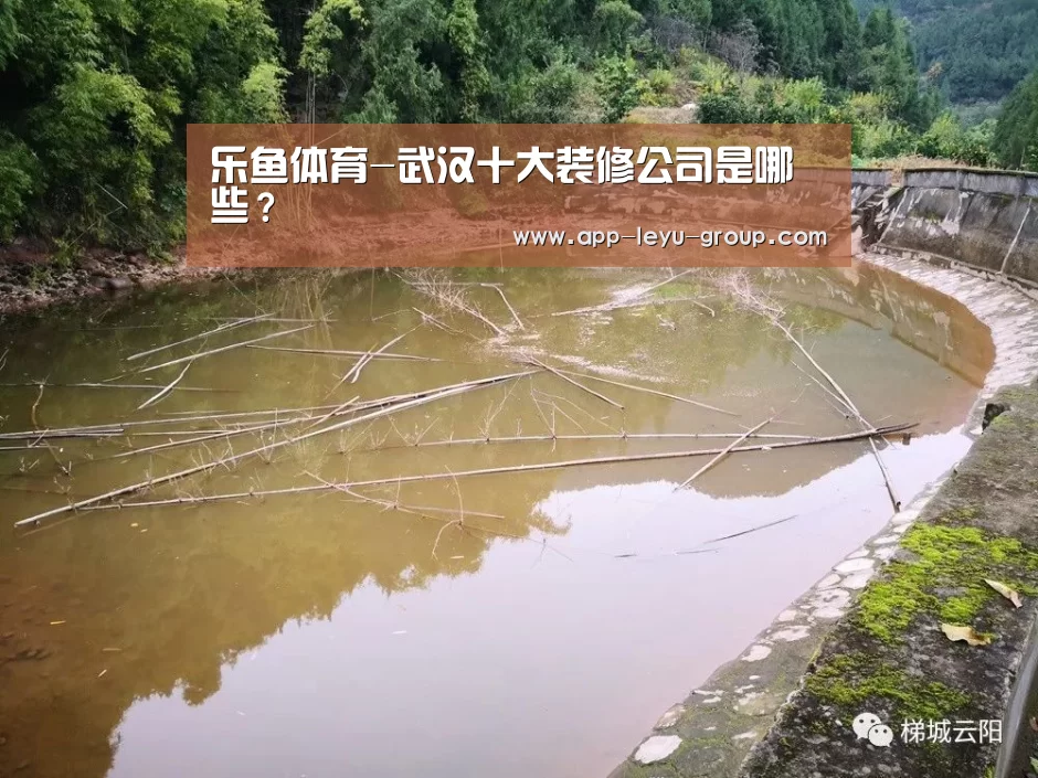 乐鱼体育-武汉十大装修公司是哪些?(图3) 乐鱼体育