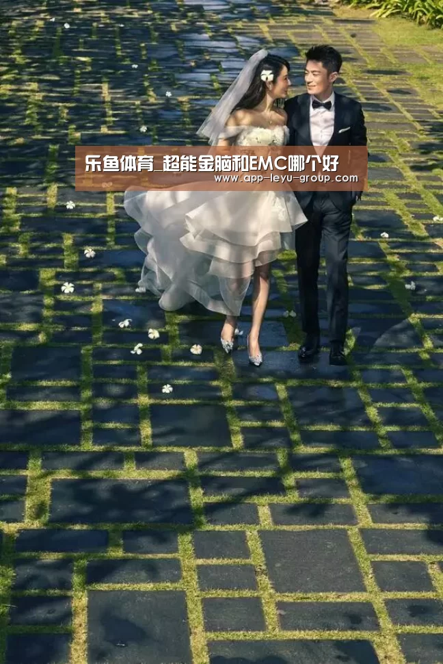 乐鱼体育_超能金脑和EMC哪个好