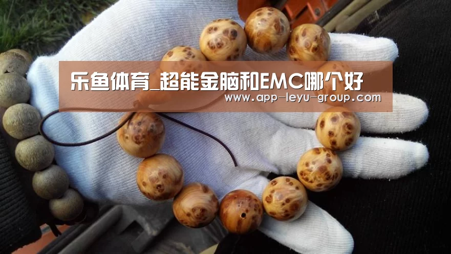 乐鱼网站