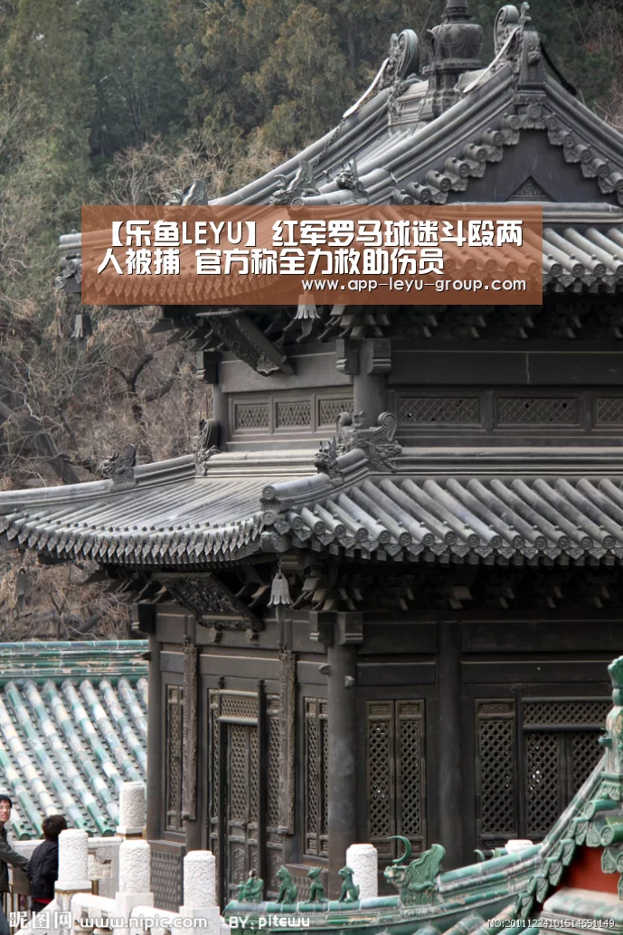 【乐鱼LEYU】红军罗马球迷斗殴两人被捕 官方称全力救助伤员